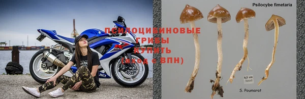 MESCALINE Нягань