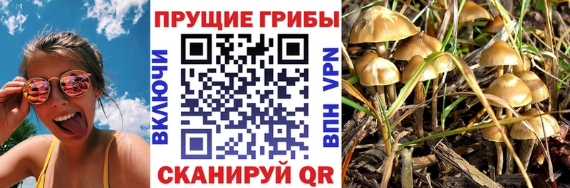 Галлюциногенные грибы Magic Shrooms  маркетплейс формула  Ахтубинск 
