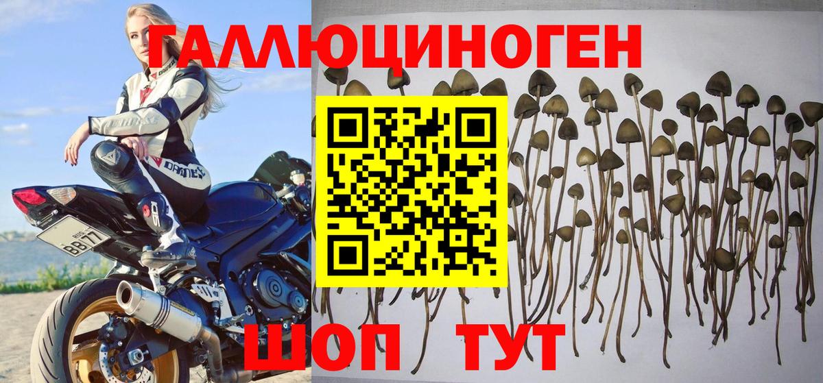 Галлюциногенные грибы ЛСД Ахтубинск