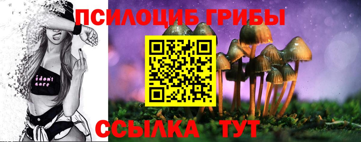 Псилоцибиновые грибы Magic Shrooms  Ахтубинск 