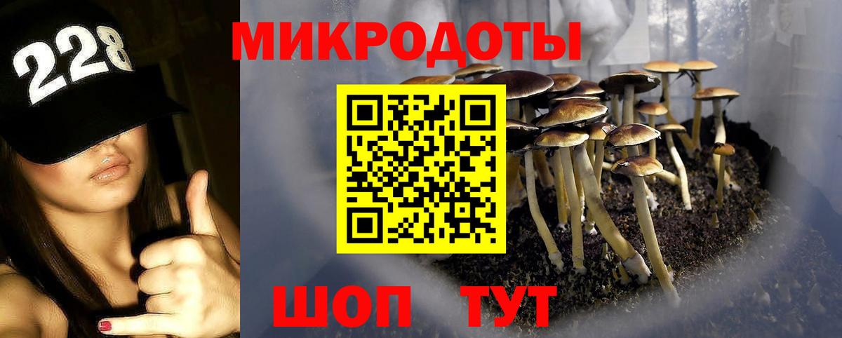 Ахтубинск  где продают   Вход с VPN  Галлюциногенные грибы прущие грибы 