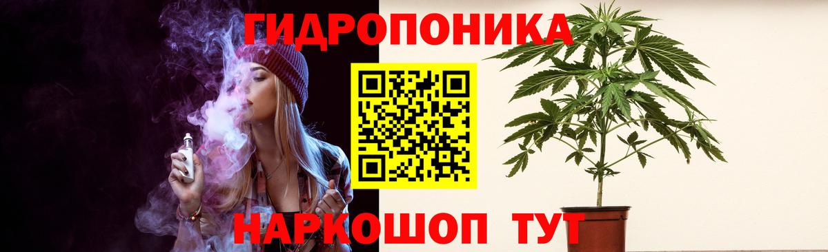 Бошки марихуана OG Kush Ахтубинск